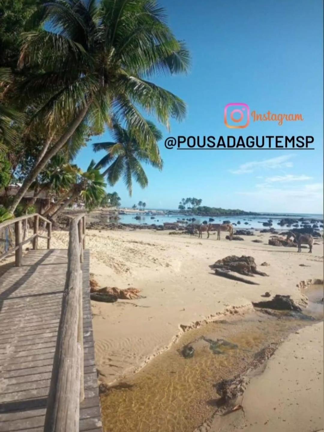 Pousada Gute Morro مورو دي ساو باولو المظهر الخارجي الصورة
